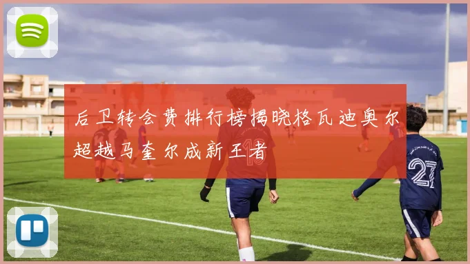 后卫转会费排行榜揭晓格瓦迪奥尔超越马奎尔成新王者